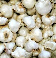 california softneck garlic