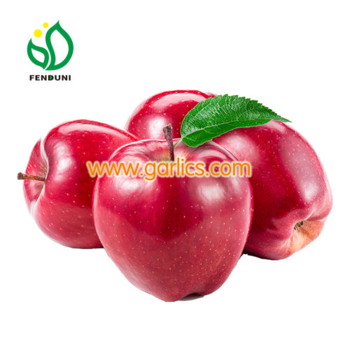 red apple supplier