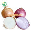 Onion Suppliers