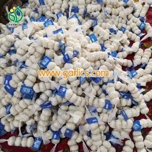 garlic strings for sale