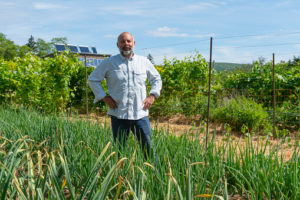 farmers growing garlic
