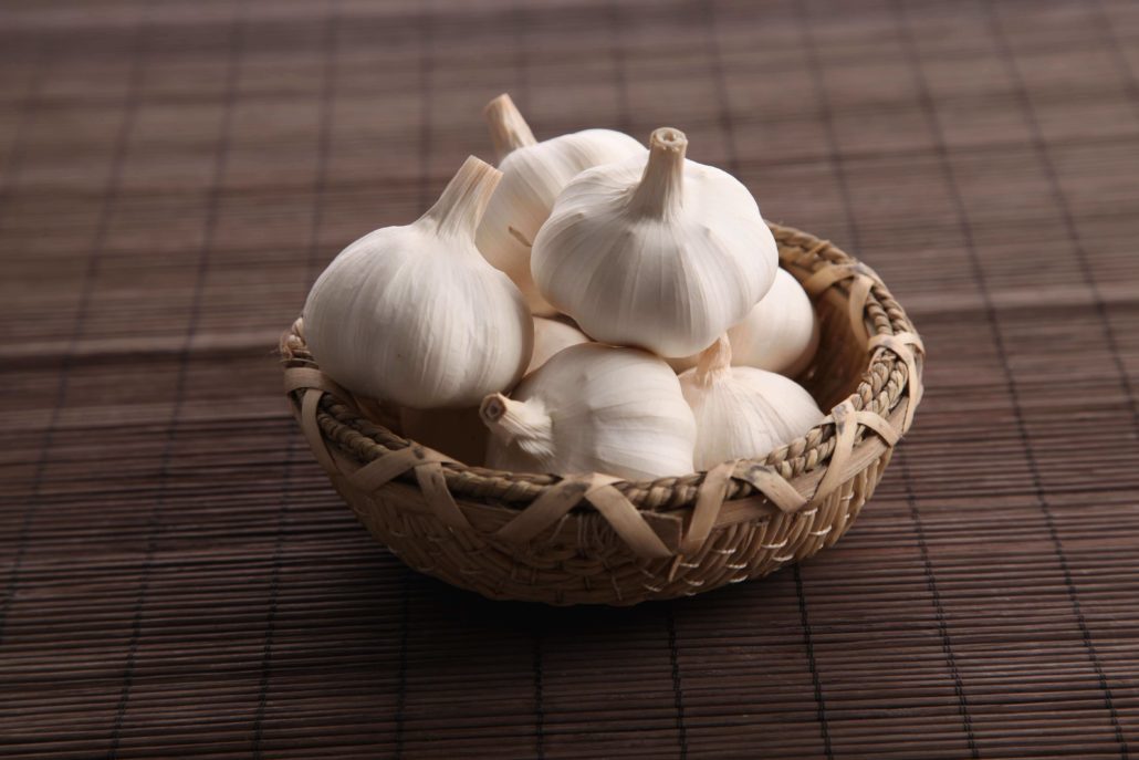 white garlic wholesale