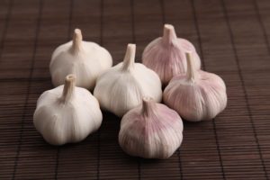 garlic black and white