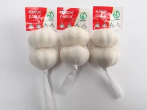 bulk-mesh-bag-garlic