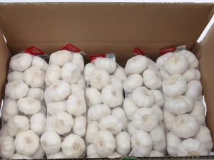 china-garlic-manufacturer