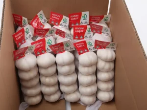 china-garlic-manufacturers
