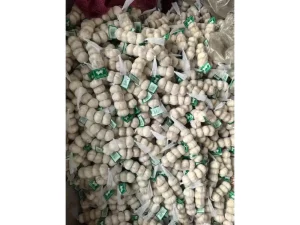 China-garlic-shipped-to-Congo