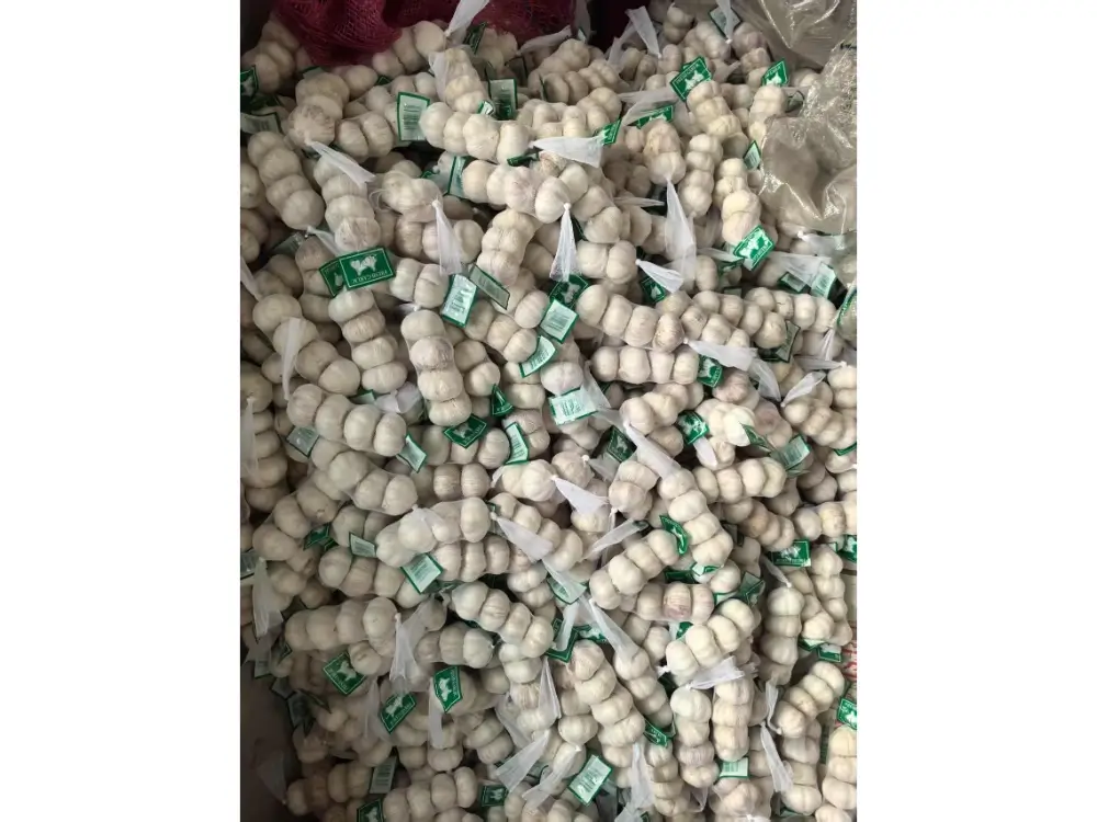 China-garlic-shipped-to-Congo