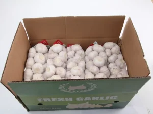 china-garlics-supplier