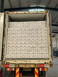 China-Jinxiang-garlic-shipped-to-Colombia