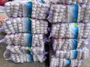China-Jinxiang-garlic-shipped-to-Jamaica-in-March-2025