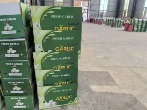 China-Jinxiang-garlic-shipped-to-Nigeria
