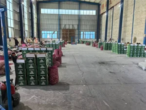 China-Jinxiang-garlic-shipping-to-Nigeria