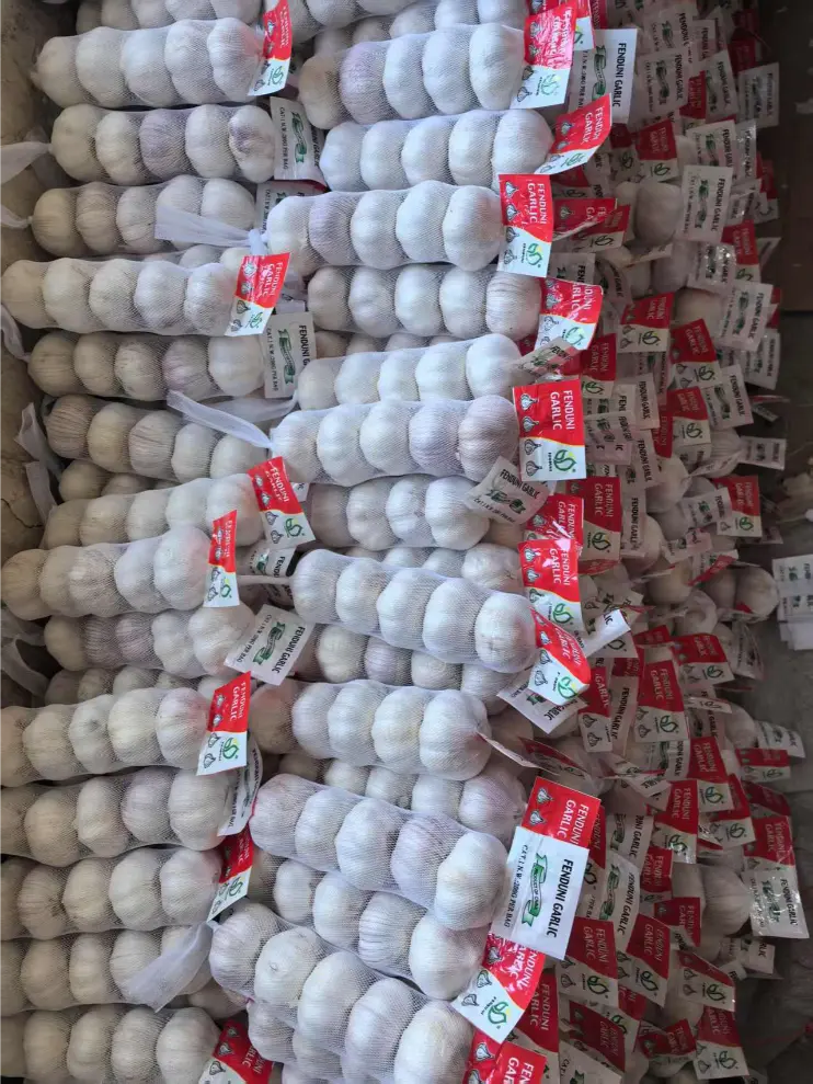 China-Jinxiang-garlics-shipped-to-Jamaica-in-March-2025