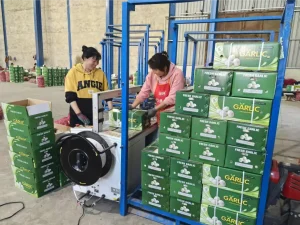 China-Jinxiang-white-garlics-shipped-to-Nigeria