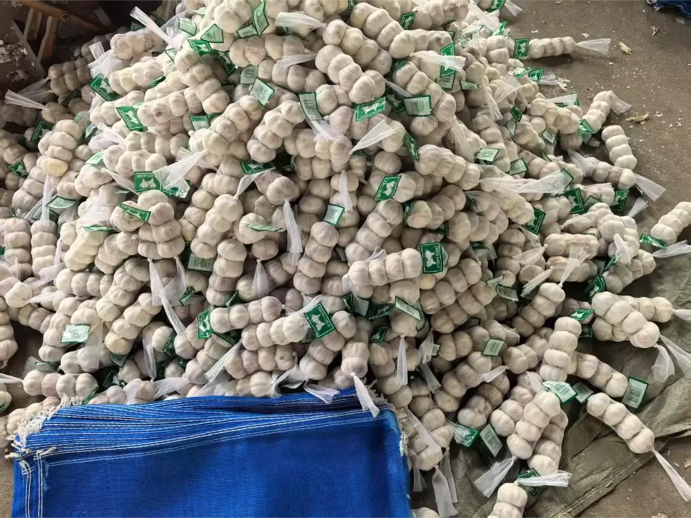 Chinese-garlic-shipped-to-Congo