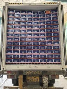 elephant-garlic-for-sale-shipping