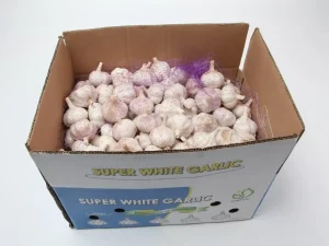 export-grade-boxed-garlic