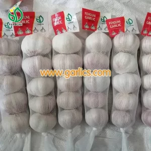 fresh_white_red_garlic