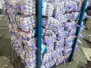garlic-bulbs-for-sale
