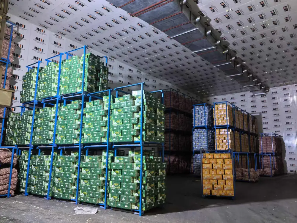 Garlic-cold-storage