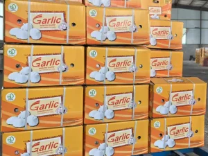 Garlic-packed-in-cartons