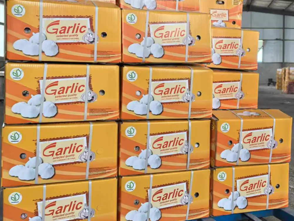 Garlic-packed-in-cartons