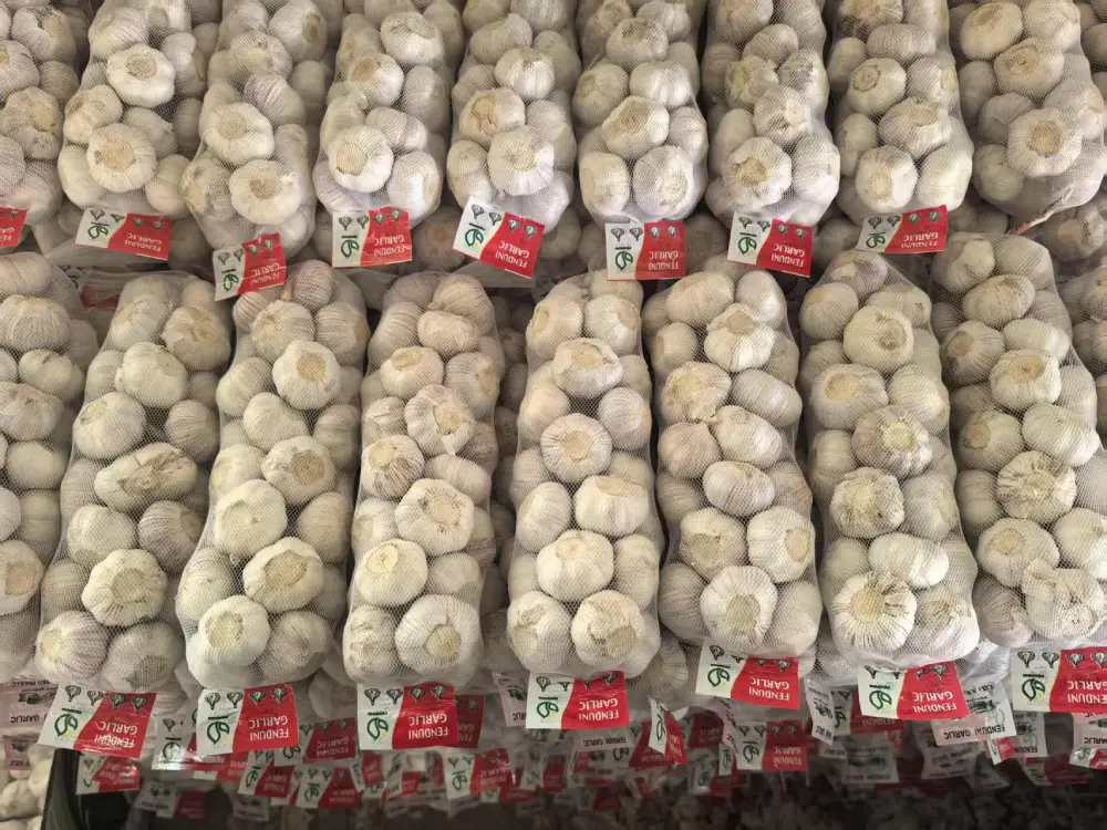 Garlic-packed-in-mesh-bags