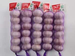 garlic-suppliers