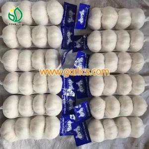garlic_bag_white