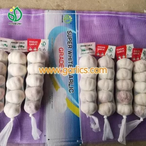 garlic_fenduni_garlic_b