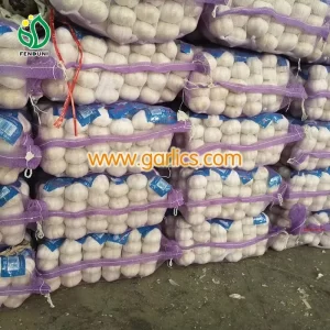 garlic_Manufacturer_From_China_c