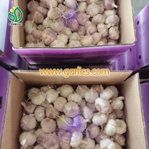 garlic_red_sale_b