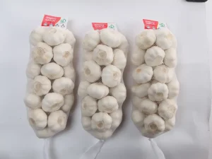garlics-packed-in-mesh-bags