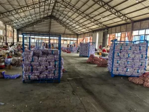 Jinxiang-garlic-shipped-to-Jamaica