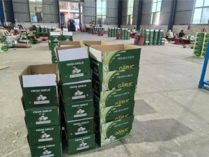 Jinxiang-garlic-shipped-to-Nigeria