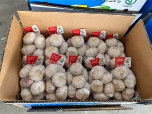 Jinxiang-garlic-shipped-to-Polynesia