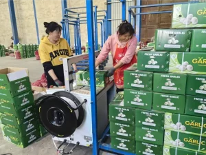 Jinxiang-garlics-shipped-to-Nigeria