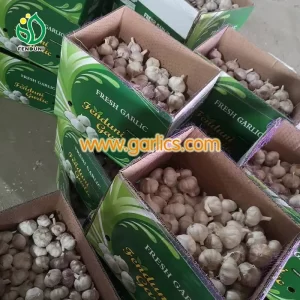 Organic_garlic_for_cooking_b