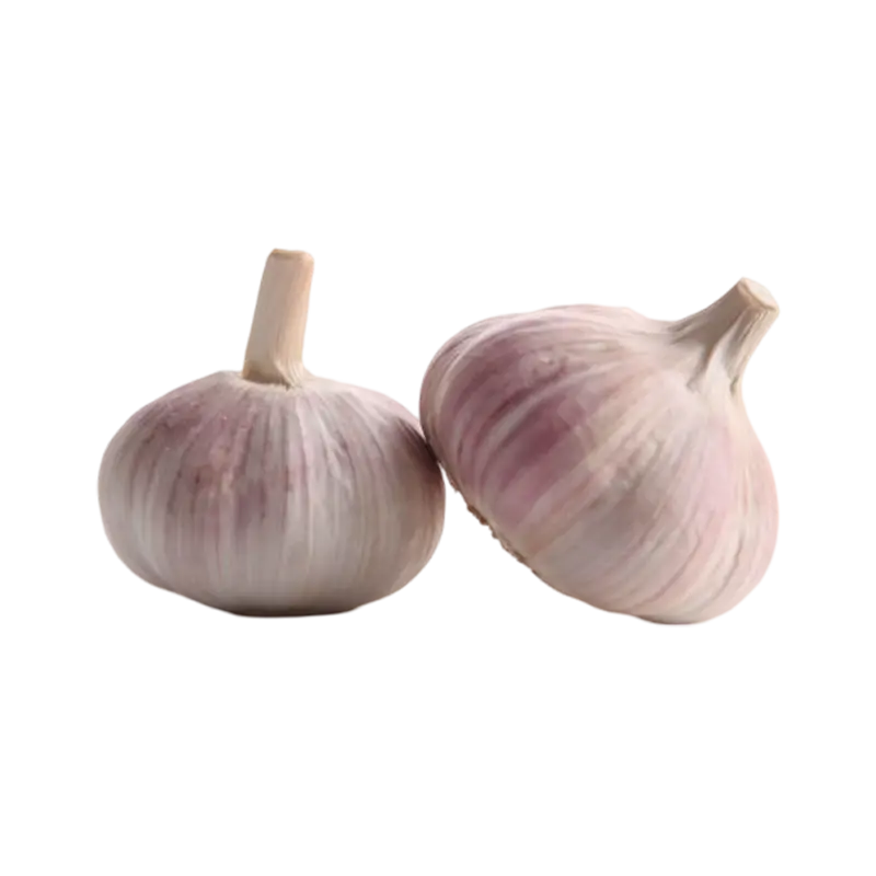purple-garlic-supplier