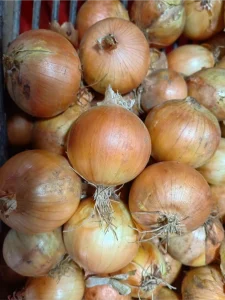 Vorteile von roten Zwiebeln