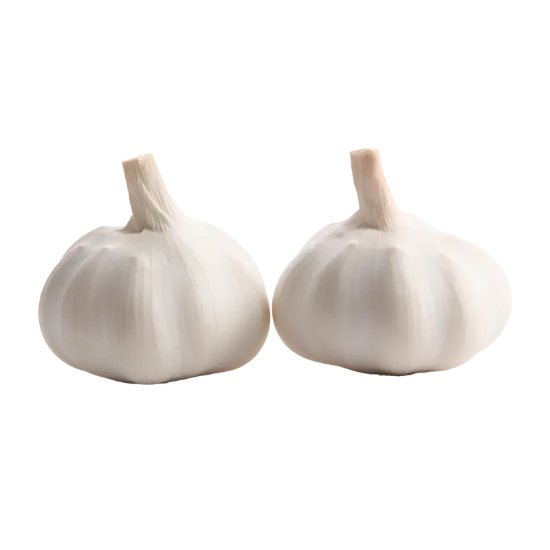 white-garlic-supplier